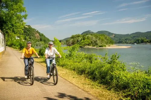 Romantischer Rhein-2023-183-Rheinradweg Rolandseckm500