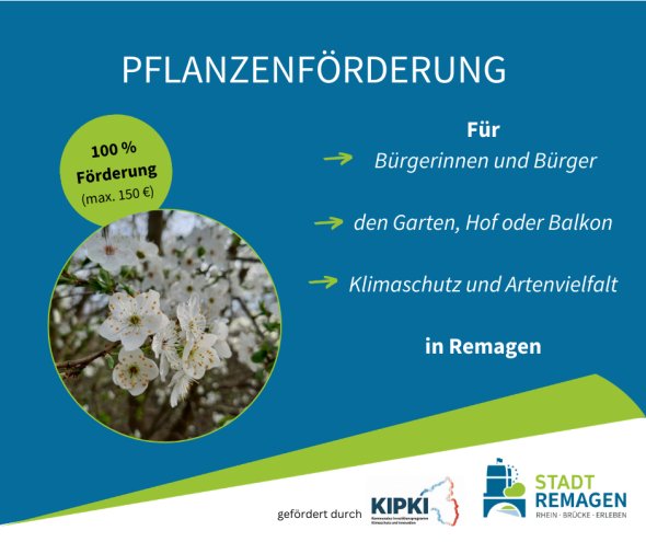 Pflanzenförderung - 1 Pflanzenförderung - 1