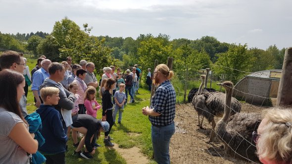 Führung auf der Straußenfarm (2) Führung auf der Straußenfarm (2)